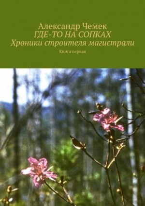 Чемек Александр - Где-то на сопках. Хроники строителя магистрали. Книга 1