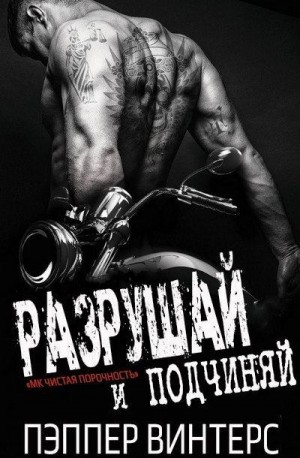 Винтерс Пэппер - Разрушай и подчиняй