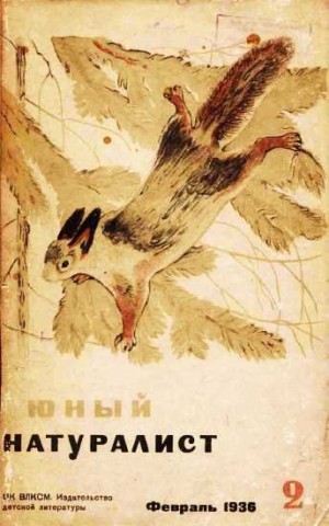 Журнал "Юный Натуралист" №2, 1936» : Скачать Fb2, Читать Онлайн