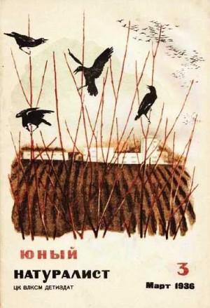 «Юный натуралист» Журнал - Журнал "Юный натуралист" №3, 1936