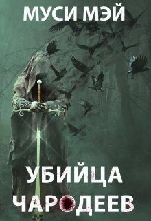 Лис Алекс - Убийца чародеев
