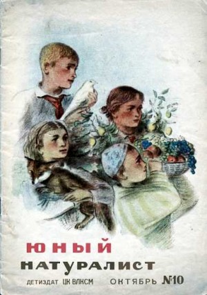 Журнал "Юный Натуралист" №10, 1938» : Скачать Fb2, Читать Онлайн