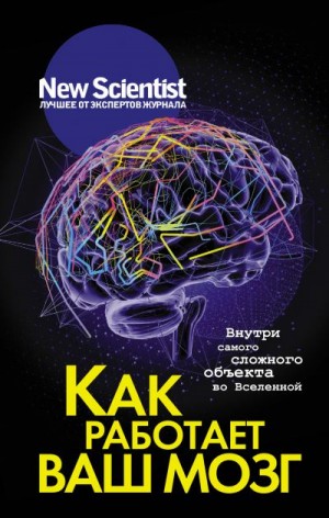 Коллектив авторов - Как работает ваш мозг. Внутри самого сложного объекта во Вселенной