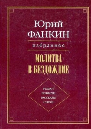 Фанкин Юрий - Очищение огнём