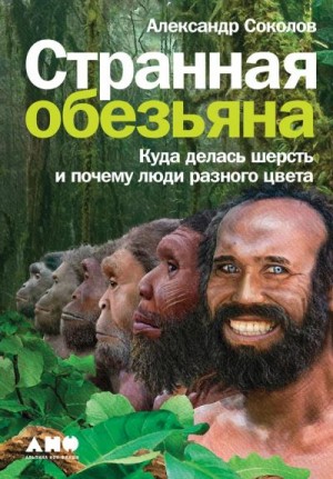 Соколов Александр Борисович - Странная обезьяна. Куда делась шерсть и почему люди разного цвета