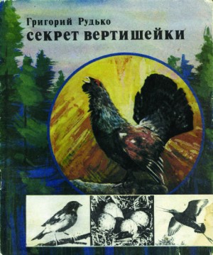 Рудько Георгий - Секрет вертишейки
