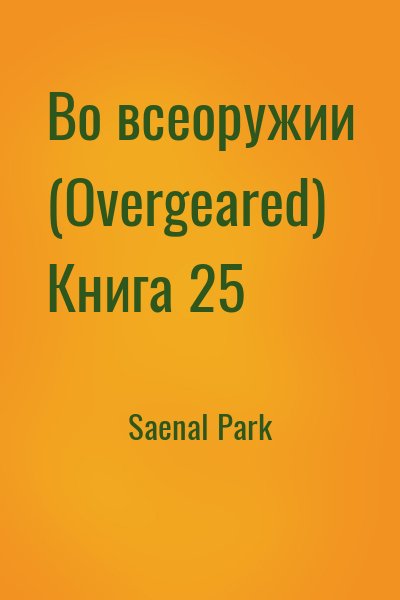 Saenal Park - Во всеоружии (Overgeared) Книга 25