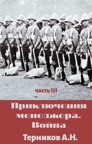 Терников Александр - Приключения менеджера. Война