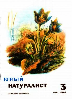 «Юный натуралист» Журнал - Журнал "Юный натуралист" №3, 1940