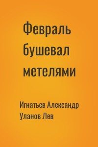 Февраль бушевал метелями