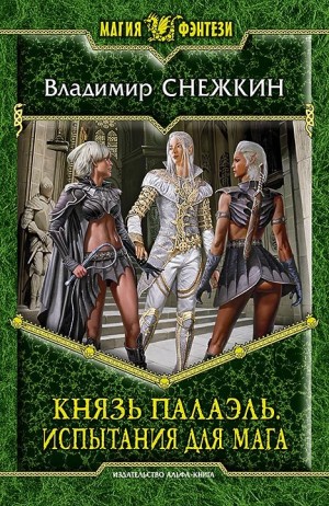 Снежкин Владимир - Князь Палаэль. Испытания для мага