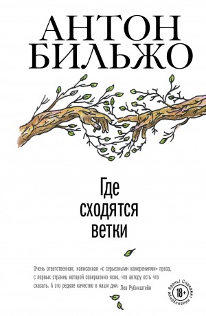 Бильжо Антон - Где сходятся ветки