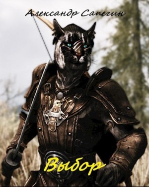 Сапегин Александр - Выбор