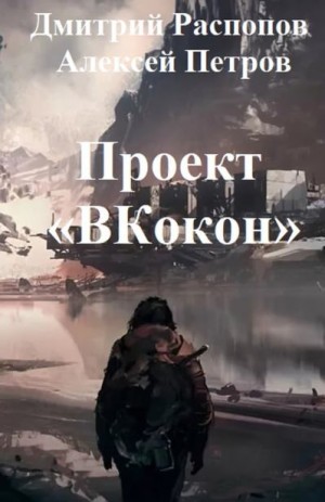 Распопов Дмитрий, Петров Алексей - Проект «ВКокон»