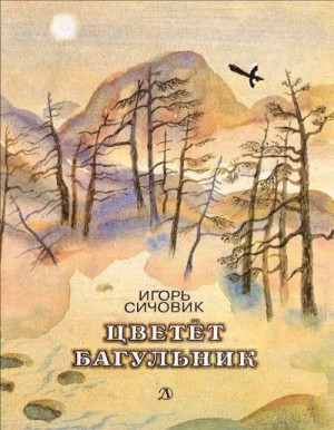 Сичовик Игорь - Цветёт багульник