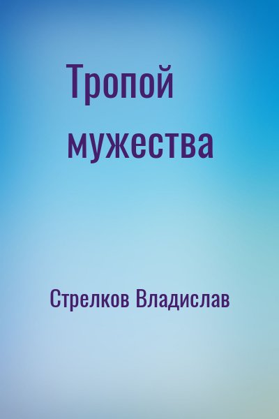 Стрелков Владислав - Тропой мужества