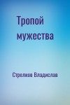 Стрелков Владислав - Тропой мужества