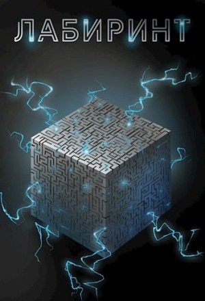 cкачать книгу Антон Агафонов Findroid Лабиринт