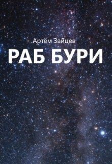 Зайцев Артем - Раб Бури