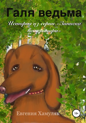 Хамуляк Евгения - Галя ведьма