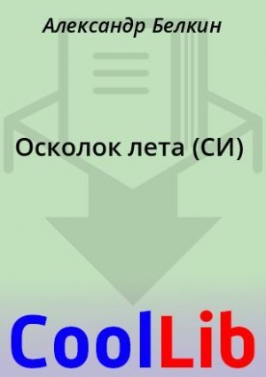 Белкин Александр - Осколок лета