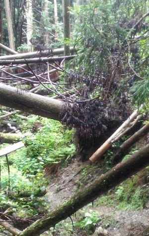 Трурль - Триста пятидесятый год – перезагрузка