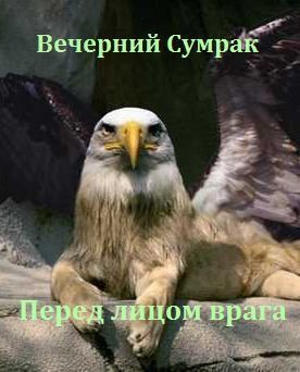 Сумрак Вечерний - Перед лицом врага