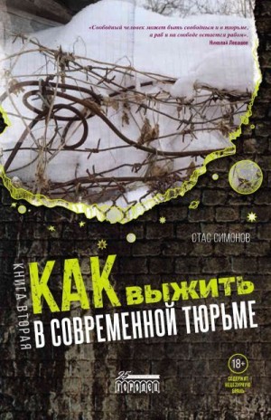 Симонов Станислав - Как выжить в современной тюрьме. Книга вторая. Пять литров крови. По каплям