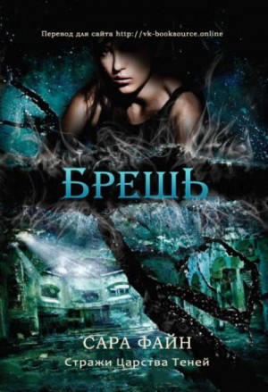 Файн Сара - Брешь