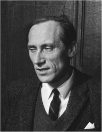 Семнадцать "или" и другие эссе