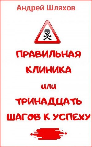 Шляхов Андрей - Правильная клиника, или 13 шагов к успеху