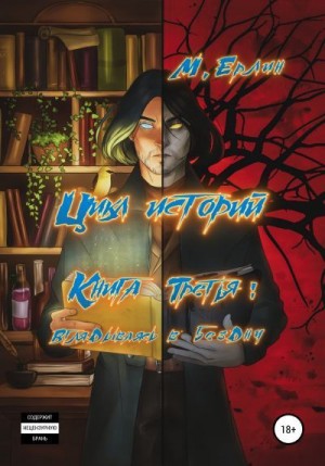 М.Ерлин - Вглядываясь в бездну