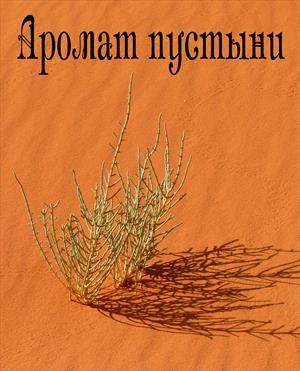 Дорогожицкая Маргарита - Аромат пустыни