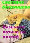Багрянцева Светлана - Возьмите котика на постой