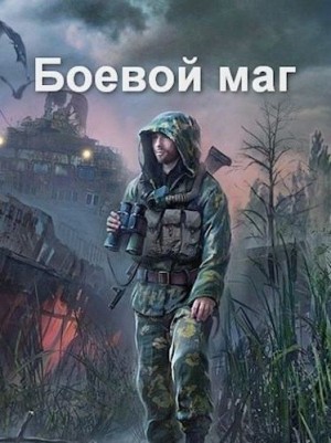 Соловьёв Роман - Боевой маг