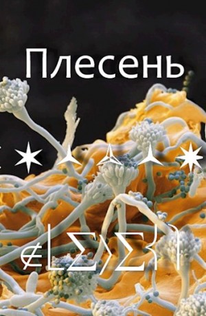 День Майский - Плесень