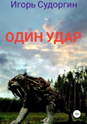 Судоргин Игорь - Один удар