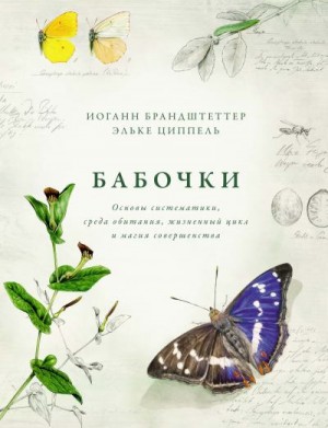 Брандштеттер Иоганн, Циппель Эльке - Бабочки. Основы систематики, среда обитания, жизненный цикл и магия совершенства