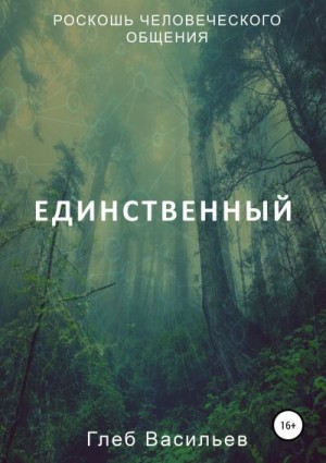 Васильев Глеб - Единственный