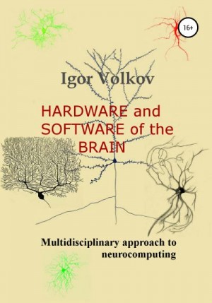 Volkov Igor - Hardware and software of the brain