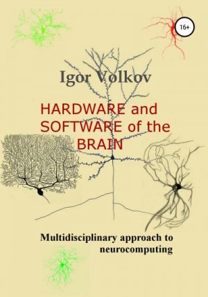 Volkov Igor - Hardware and software of the brain
