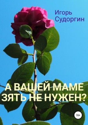 Судоргин Игорь - А вашей маме зять не нужен?