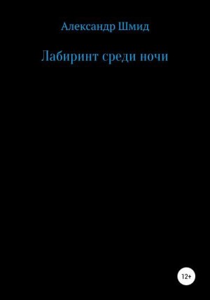 Шмид Александр - Лабиринт среди ночи