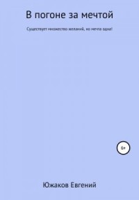 В погоне за мечтой