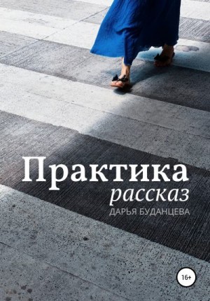 Буданцева Дарья - Практика