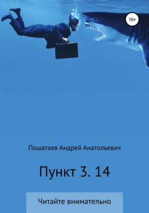 Пошатаев Андрей - Пункт 3. 14