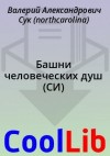 Сук Валерий - Башни человеческих душ