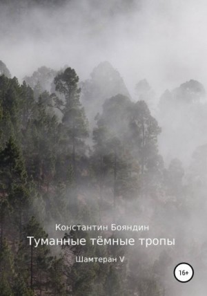 Бояндин Константин - Туманные тёмные тропы