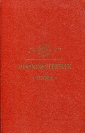 Петухов Юрий, Старилов Николай, Иванов Николай Фёдорович, Привалихин Валерий, Барабашов Валерий, Агафонов Игорь, Хелемендик Сергей, Зиновьев Виктор, Клячин Валерий, Байбородин Анатолий, Волчкова Людмила, Паломова Раиса, Травкин Василий, Садковский Василий - Восхождение: Проза