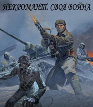 Агишев Руслан - Своя война